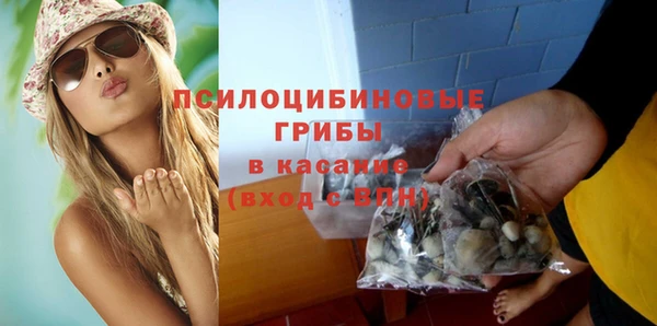 apvp Вяземский
