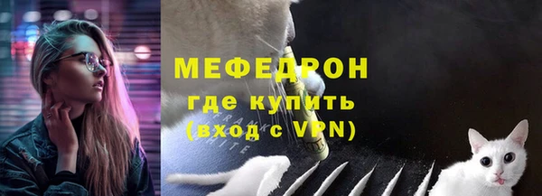 индика Волоколамск