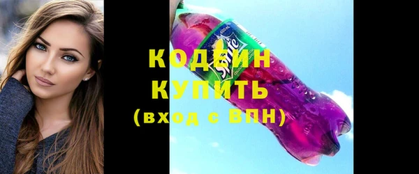 индика Волоколамск