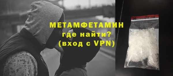 индика Волоколамск