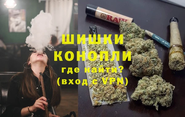 apvp Вяземский