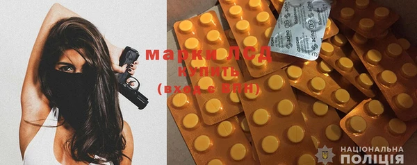 индика Волоколамск