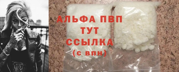 индика Волоколамск