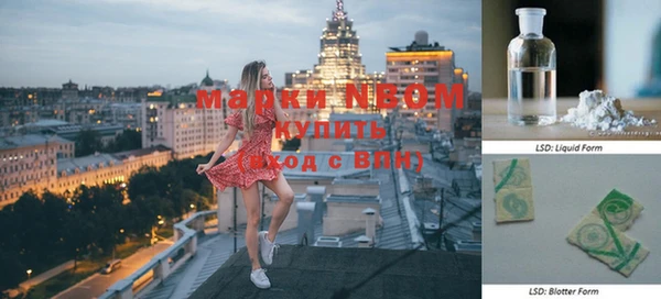 apvp Вяземский