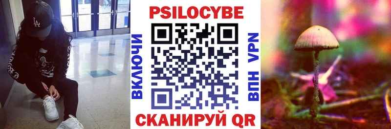 omg ССЫЛКА  Камышлов  Псилоцибиновые грибы Magic Shrooms 